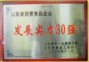 企業(yè)榮譽