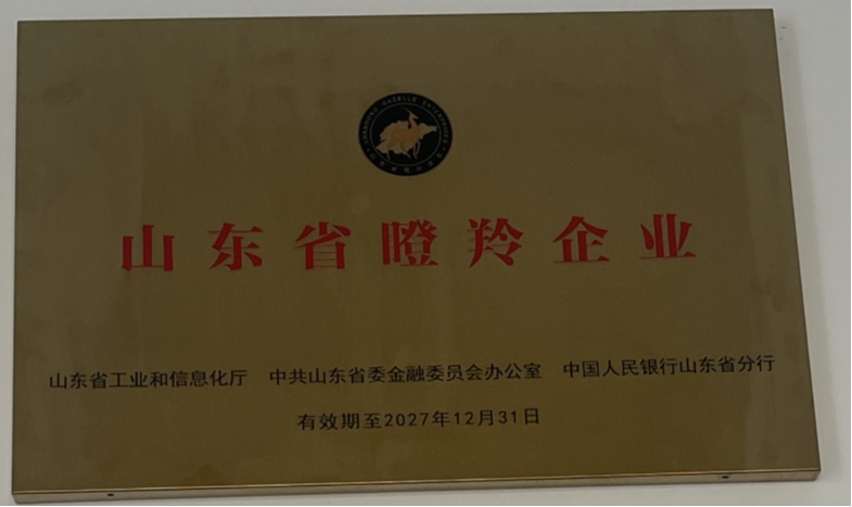 山東省瞪羚企業(yè)