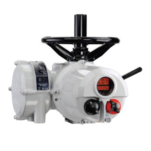 ROTORK IQ電動執(zhí)行器