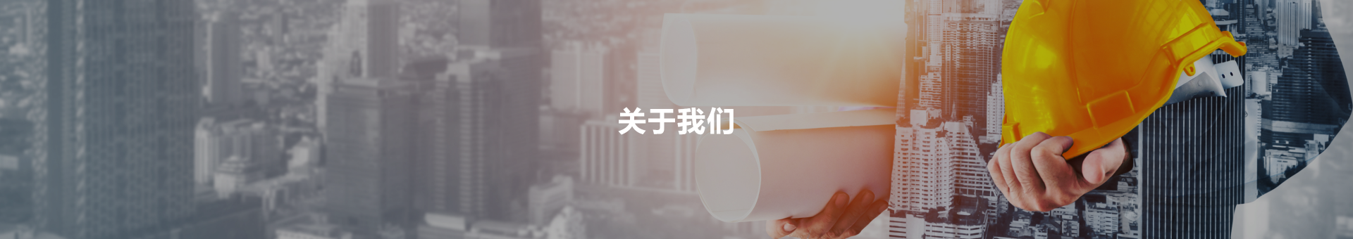 公司簡(jiǎn)介