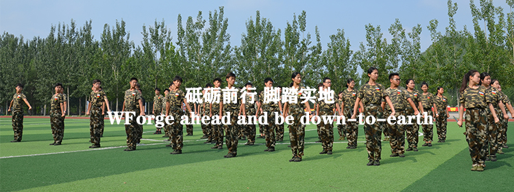手机banner