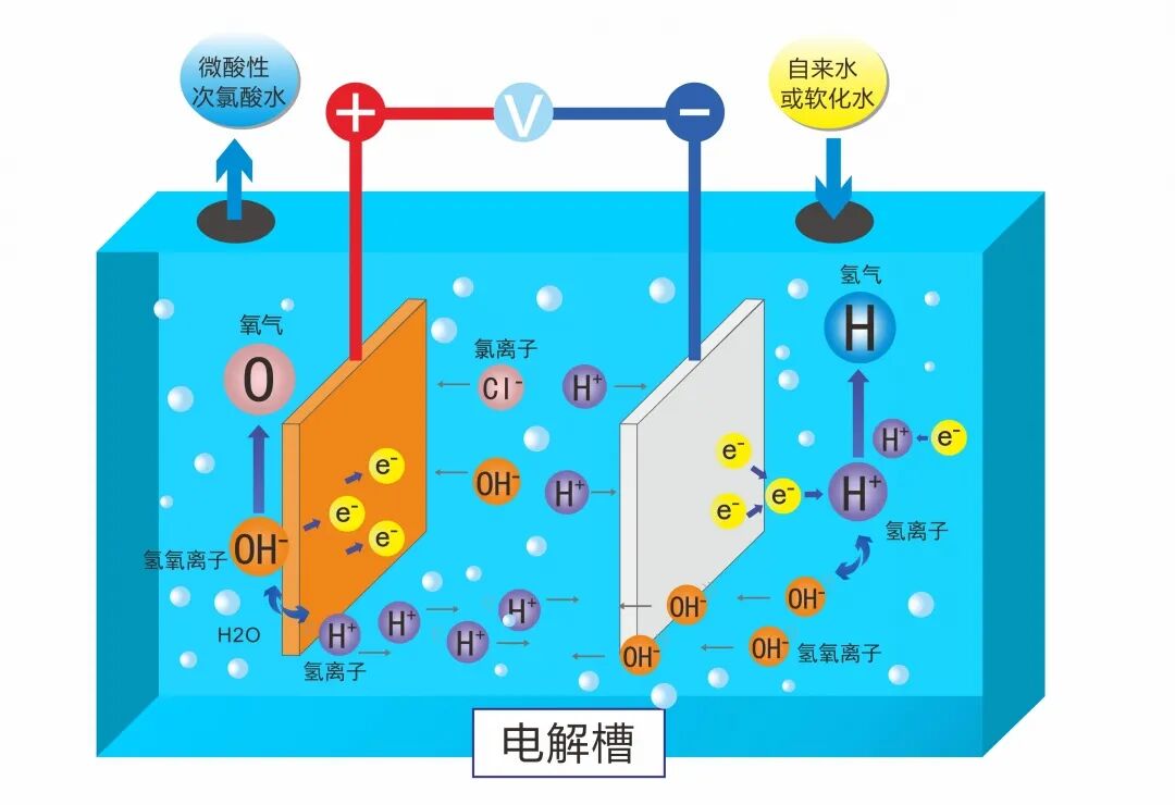 次氯酸生成原理.jpg 图片